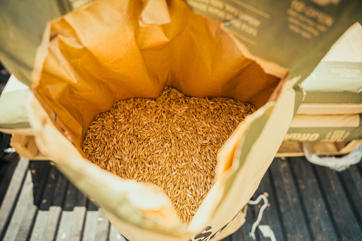 An open bag of grain in a truck bed.