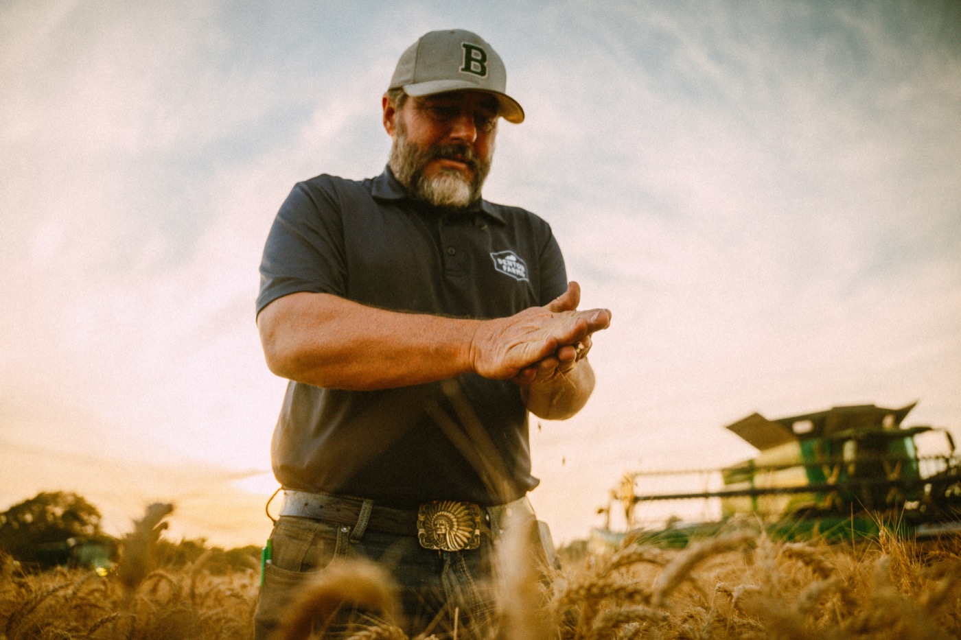 A farmer rubs grain from the head between his hands in a ripe field.
